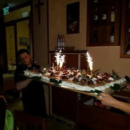 Отель Fabius 3*